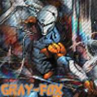 Gray-Fox